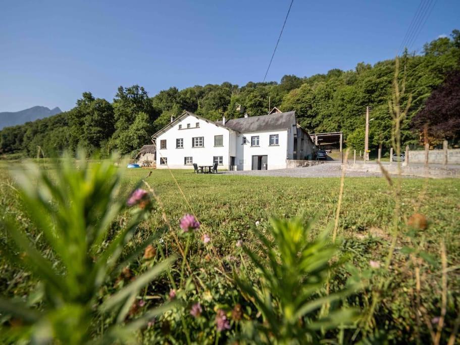 Au Coeur Des Pyrenees Bigourdane Apartment Lau-Balagnas Luaran gambar